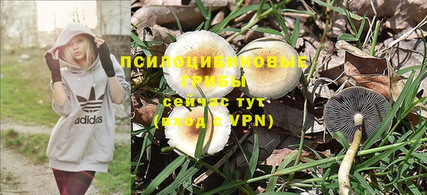 a pvp Карталы