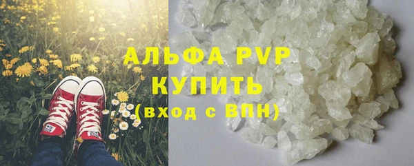 jwh Карпинск
