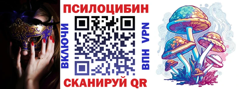 Купить где  Элиста  Псилоцибиновые грибы Psilocybine cubensis 
